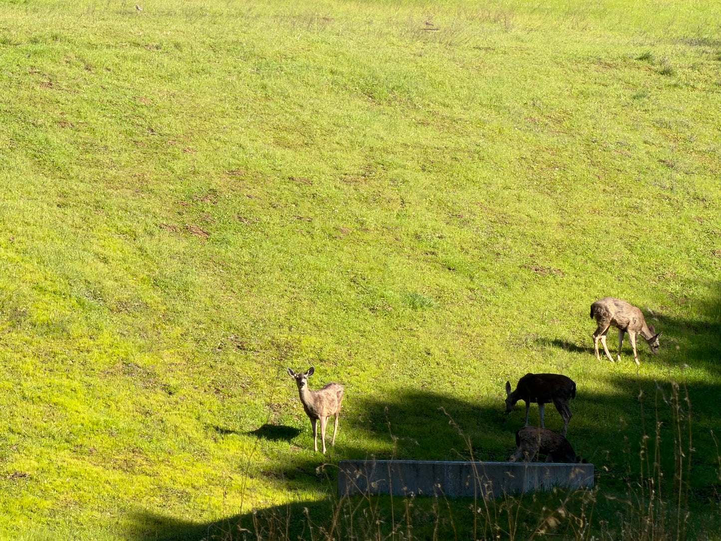 Mountain Retreat Watercolor Workshop π²π¨