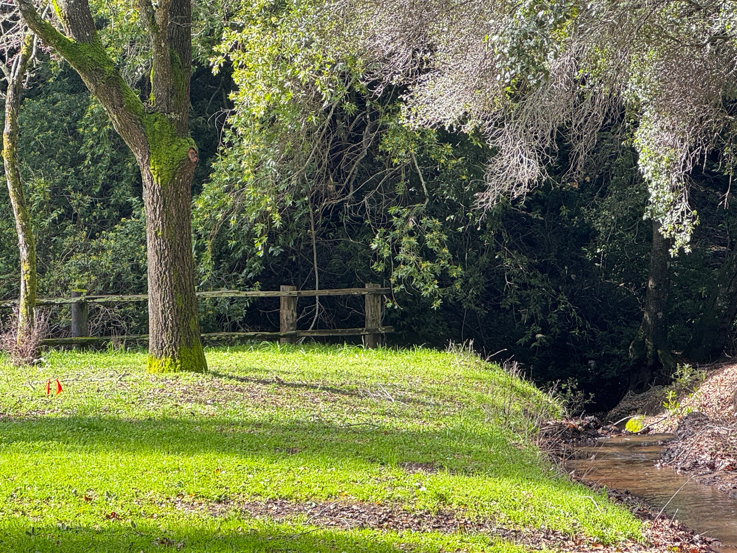 Cherished Hearts: Air-Dry Clay Jewelry Making Workshop