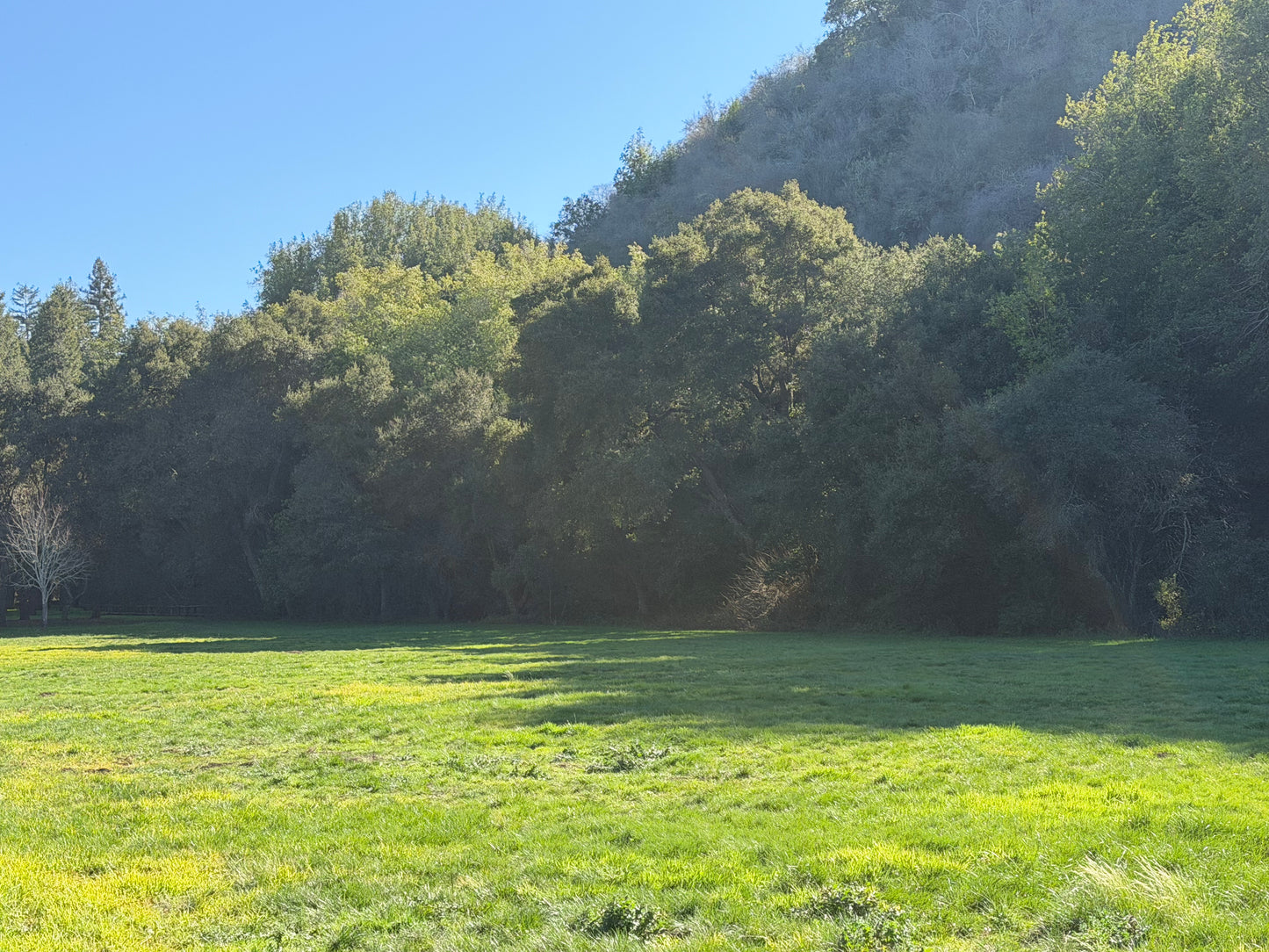 Mountain Retreat Watercolor Workshop 🌲🎨