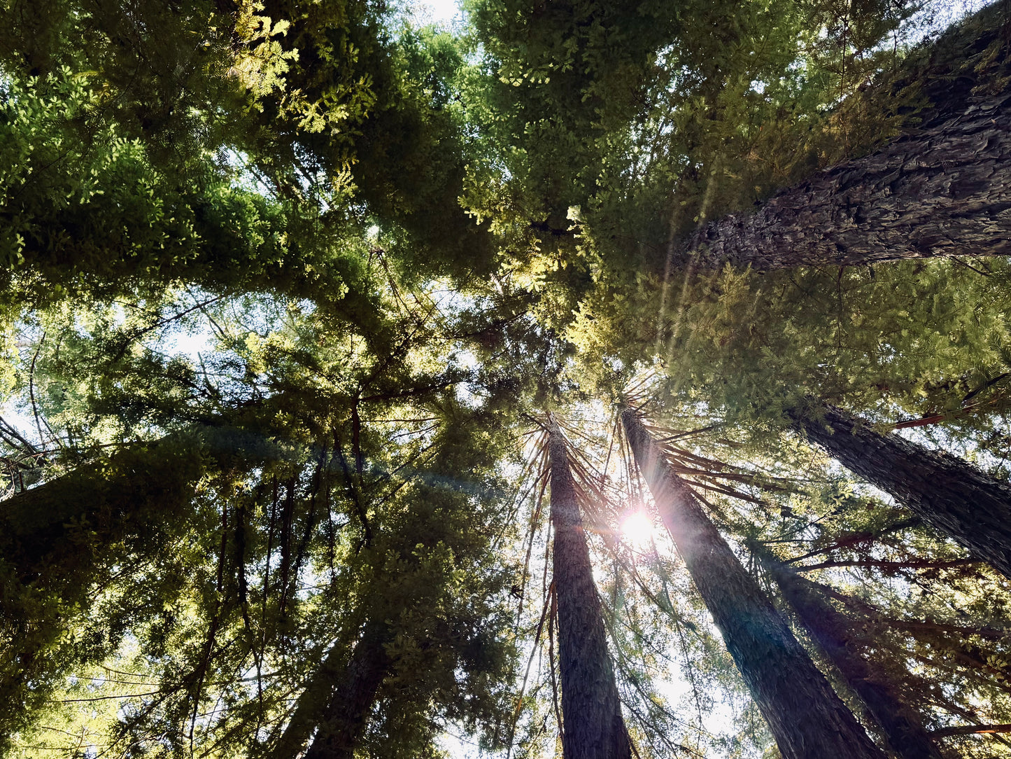 Mountain Yoga & Open Dialogue: Be Present, Meet Fresh Perspectives